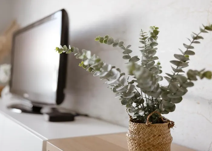 Apartament Panoramic Mar